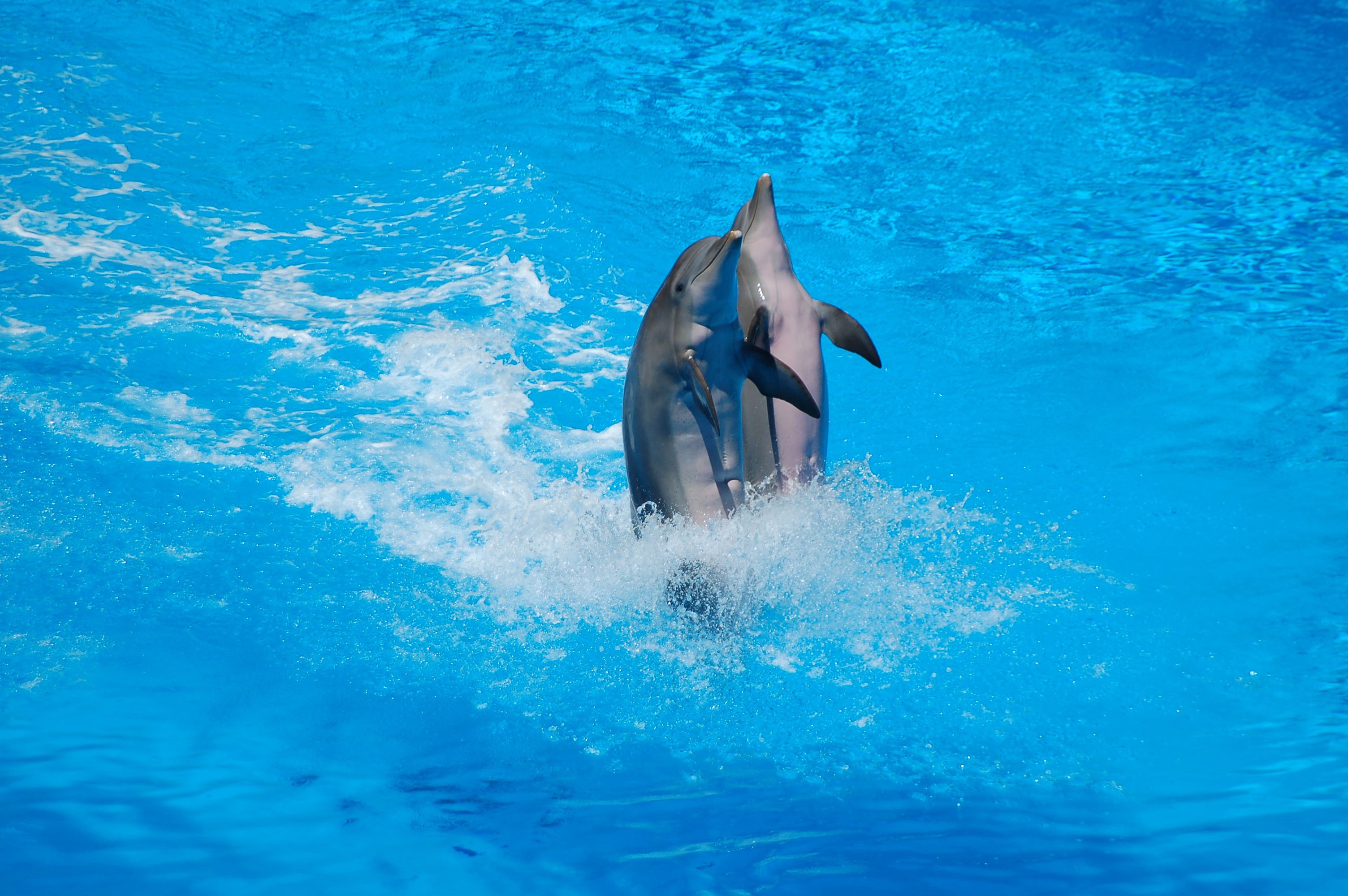 Mediterranean Marine Park Malta